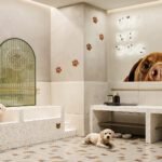 67cfdf2ca02b4996ba9c89a4_Bay Grove B Pet Wash